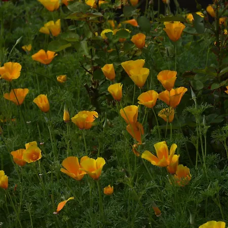 게스트하우스 Christel's 브란덴부르크