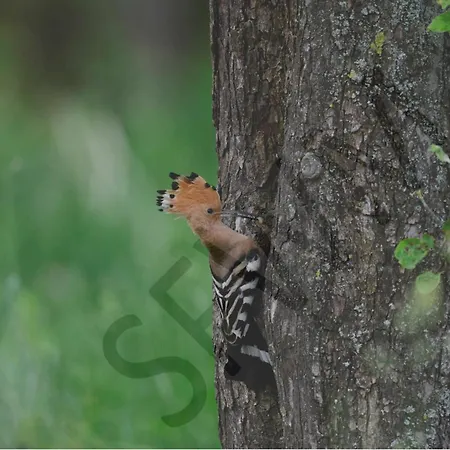 게스트하우스 Christel's 브란덴부르크