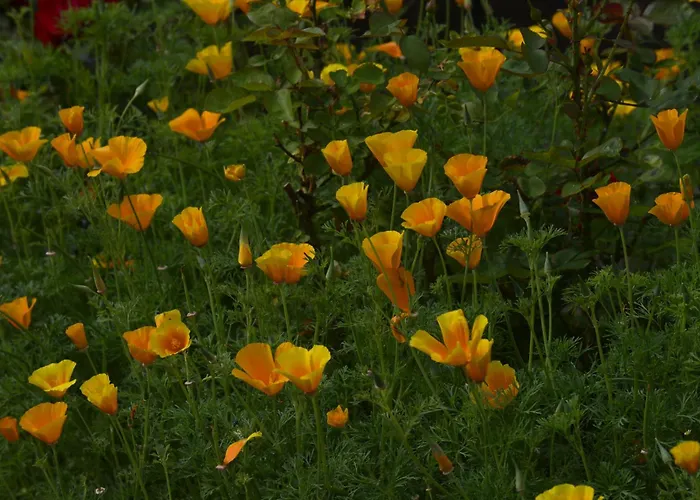 Gasthof Christel's Brandenburg an der Havel