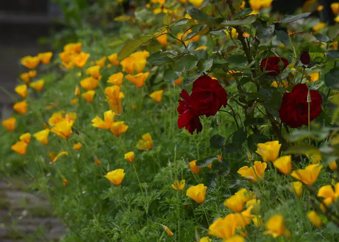 Christel's Brandenburg an der Havel