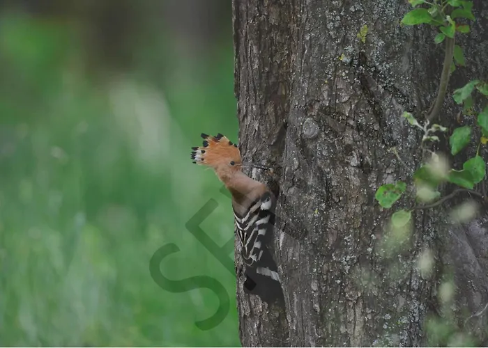 Gasthof Christel's Brandenburg an der Havel